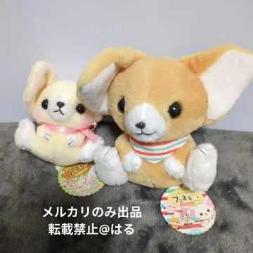 페넥여우 페네키 스트라이프 피크닉