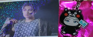 초특급 REAL? 지역 한정 키링 #13 알로하 & 브로마이드