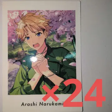 앙스타 파샤츠 나루카미 아라시