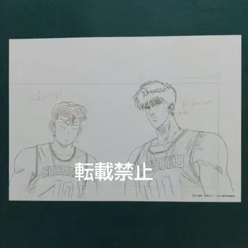 슬램덩크 설정자료 사쿠라기 & 루카와