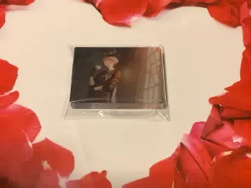 프로세카 노블 26 리바도리 장교 시