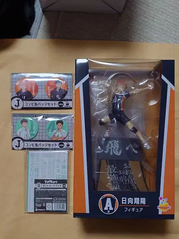 하이큐!! 해피 복권 A상 히나타 쇼요 [ 덤 포함 ]