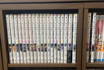 나 혼자만 레벨업