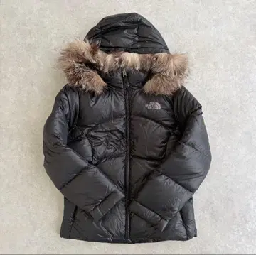 THE NORTH FACE 다운 자켓 헤이세이 Y2K