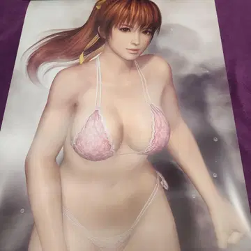 DOA5 카스미 블루 굿즈 목욕탕 포스터