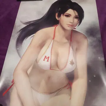 DOA5 단풍 레드 굿즈 목욕탕 포스터