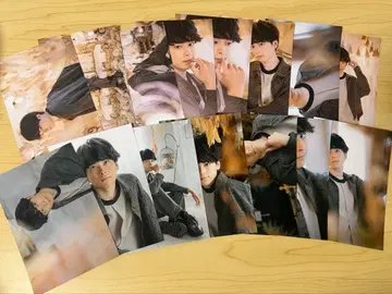 오토모 시온 브로마이드