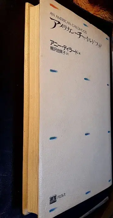 애니 딜라드 아메리칸 차일드후드