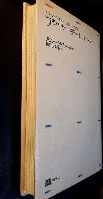 애니 딜라드 아메리칸 차일드후드