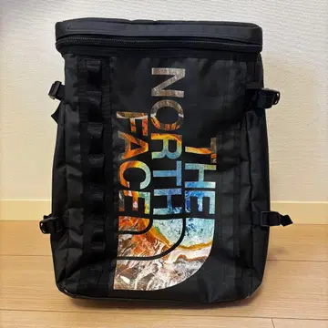 THE NORTH FACE 로고 백팩
