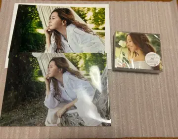 쿠라키 마이 B-Side BEST CD 일반ver 브로마이드 클리어 파일