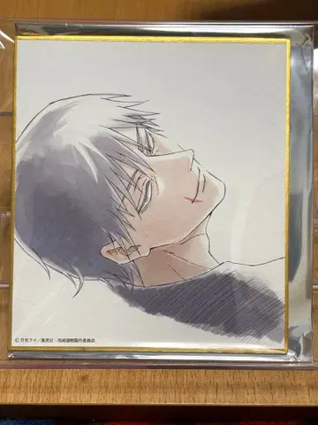 주술회전전 회옥옥절 블라인드 미니 색지 후시구로 토우지