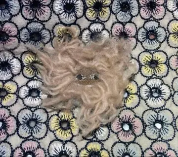 미나 페르호넨 모리 베이지 Morii