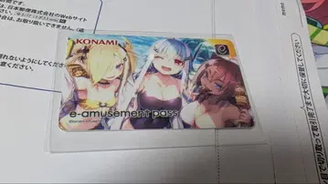 폴라리스 코드 amusement pass e-pass 이치카