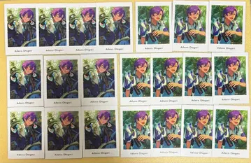 앙스타 파샤츠 [ 오토카리 아도니스 ]