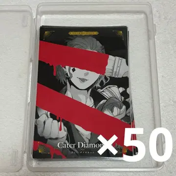 트위스테 케이트 카운트다운 포스카 엽서 50장