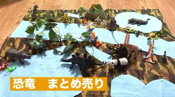공룡 동물 세트 묶음 판매