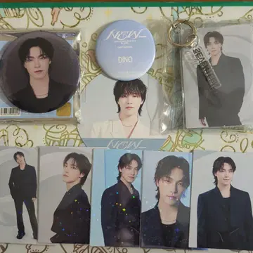 SEVENTEEN DINO NEW 세트