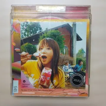 벚꽃 피는 마을 이야기