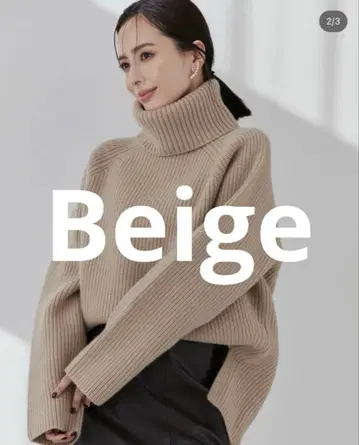 아뉴앙스 울 캐시미어 래글런 터틀 니트 풀오버 베이지