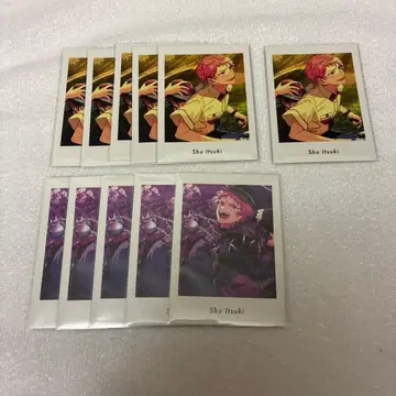 앙스타 파샤츠 소