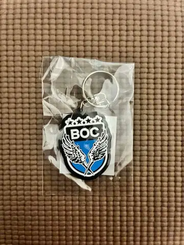 BUMP OF CHICKEN 2022 Summer 키링