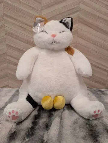 고양이 봉제 인형