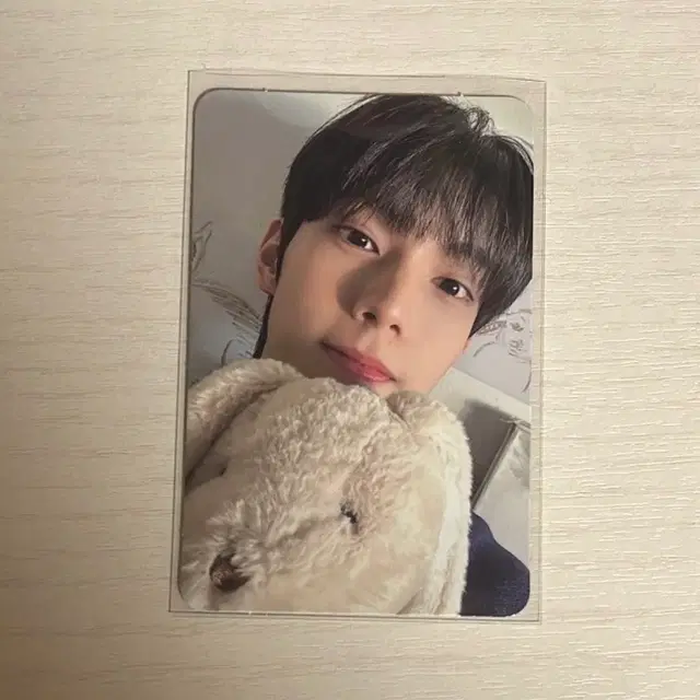 최립우 앨범포카