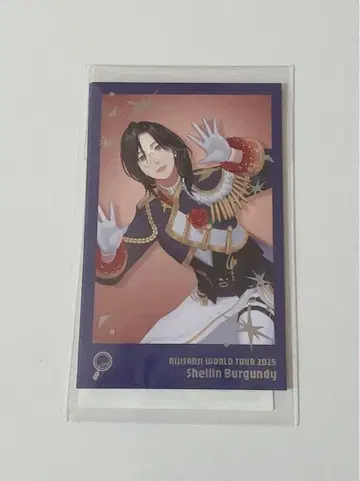 셰린 버건디 고베 폴라로이드풍 카드