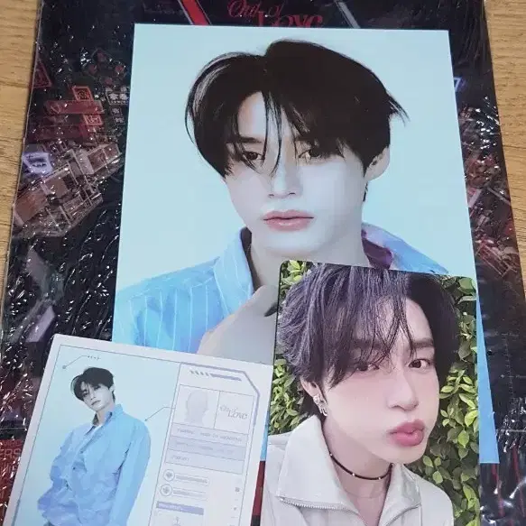 제베원 5집 제로즈 앨범 김지웅 세트