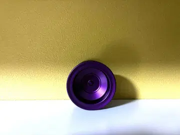 Hydrangea 카틀레아