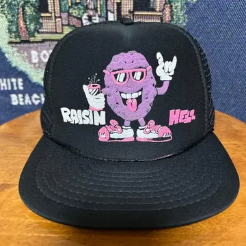 [레어] 캘리포니아 레이즌 캡 빈티지 트래커 아메카지