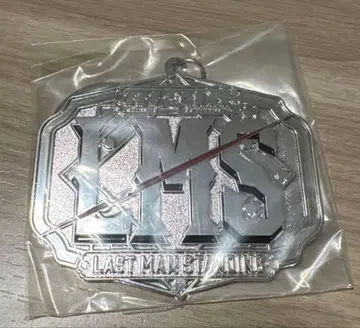 LMS LAST MAN STANDING 메탈 키링