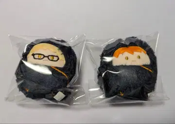 하이큐!! 싸개 태피 인형 히나타 츠키시마