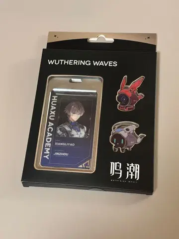 아이리 카나에 패스 핀 배지