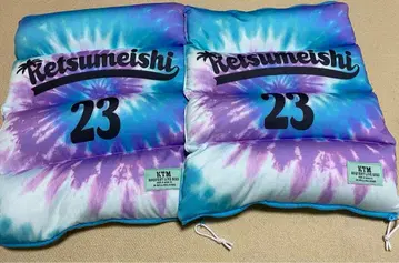 케츠메이시 리퀘스트 라이브 비즈 쿠션