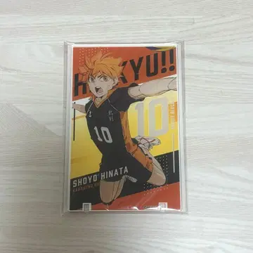 하이큐 아트 패널 컬렉션 Vol.2 히나타 쇼요 아크릴 스탠드