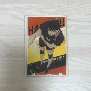 하이큐 아트 패널 컬렉션 Vol.2 카게야마 토비오 아크릴 스탠드