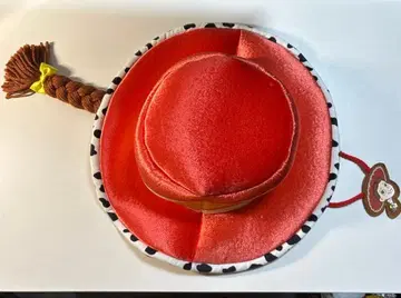 제시 팬캡 디즈니