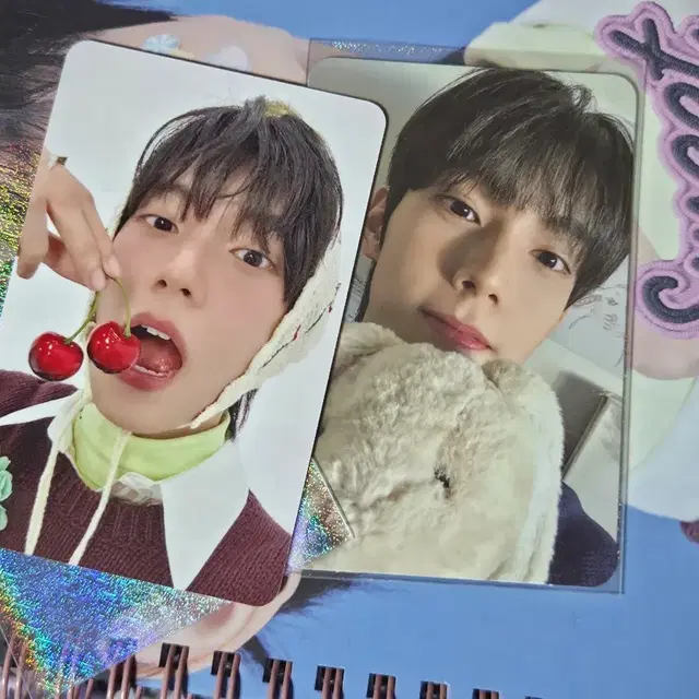 최립우 스윗드림 앨범 포카 일괄