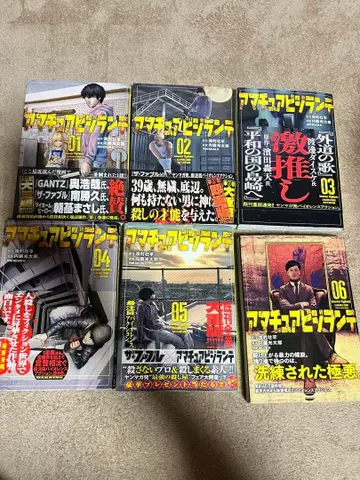 아마추어 비전 전권 세트 01-06