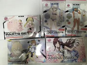 아바타 푸미나, 30MS 옵션 바디 오사키 아마나