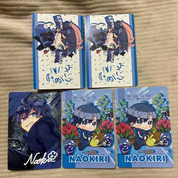 컬러풀 피치 뮤지엄 전시회 트레이딩 카드 나오키리