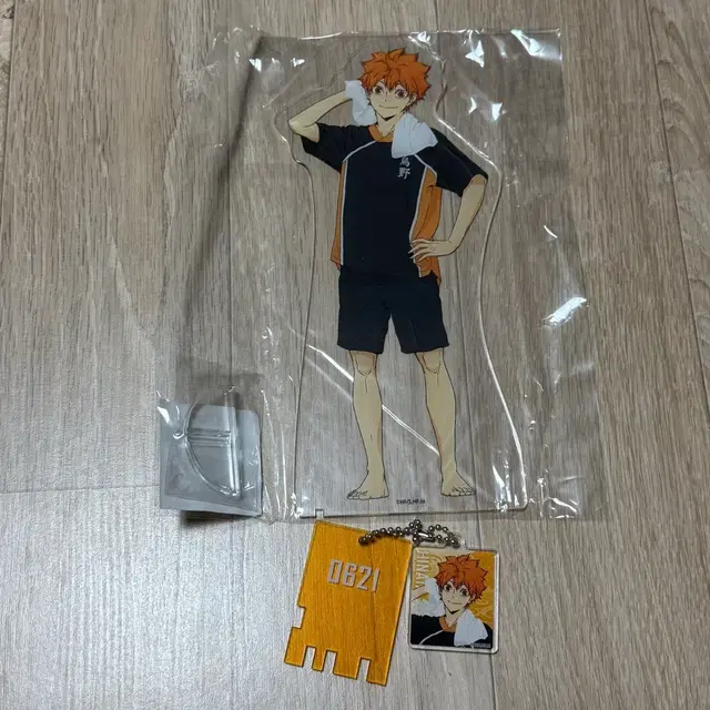 하이큐 히나타 쇼요 극락탕 라쿠스파 빅 아크릴스탠드 키링