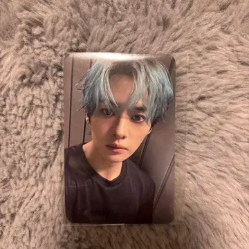 리노 트레이딩 카드