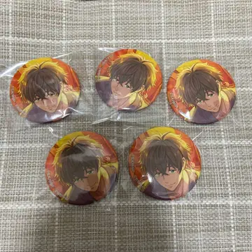 WIND BREAKER 윈블 윈히로 캔뱃지 토가메 조 5개 세트