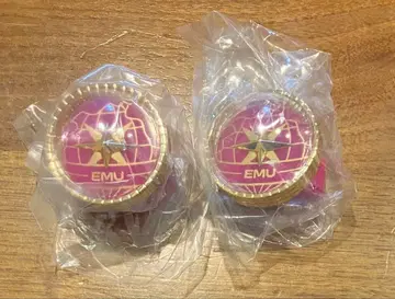 프로세카 세카라이 호우 에무 반지 라이트