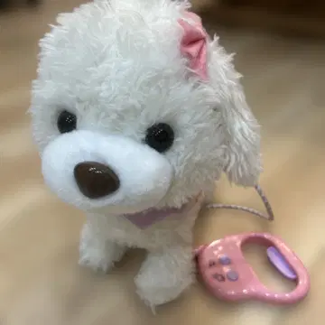 파타파타 귀 산책 에이미