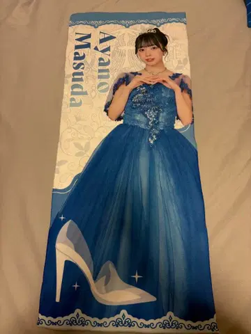 마스다 아야노 히타무키 신데렐라 타월