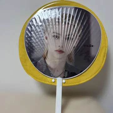 Felix 부채와 병아리 부채 세트